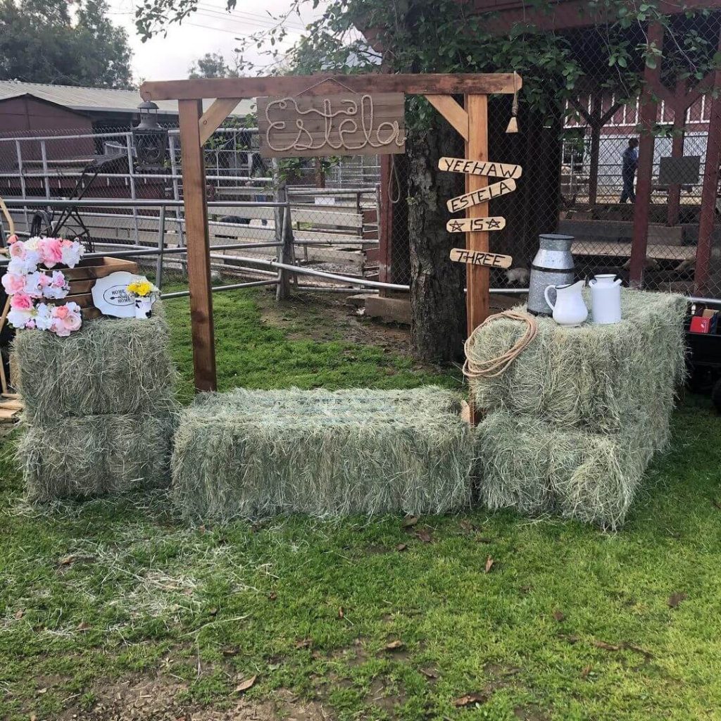 Cowgirl Theme Party Decorations
